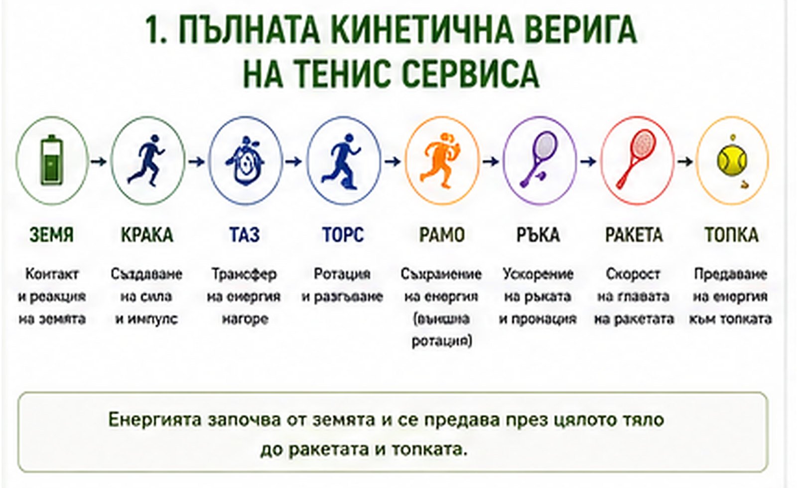 Биомеханика на тенис сервиса – как тялото създава скорост от земята до ракетата