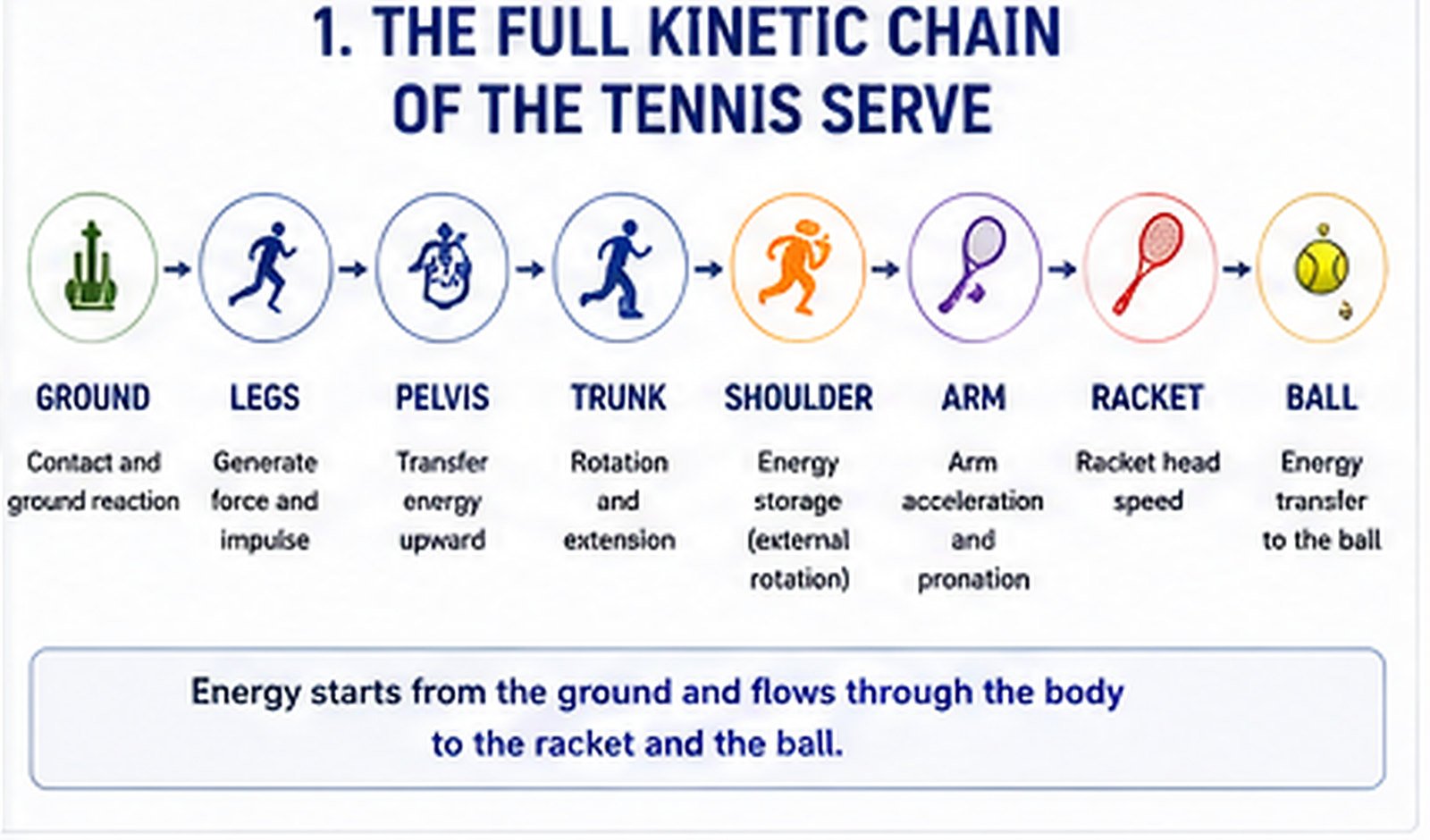 Tennis serve biomechanics – how the body creates speed from the ground to the racket