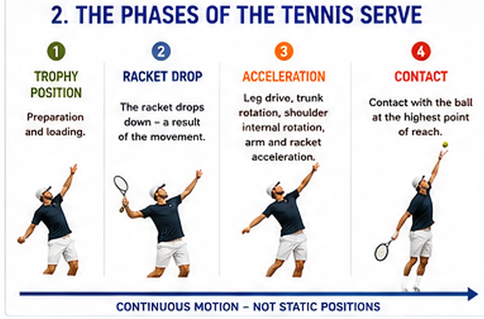 The phases of the serve: trophy position → racket drop → acceleration → contact. A continuous movement, not separate poses.