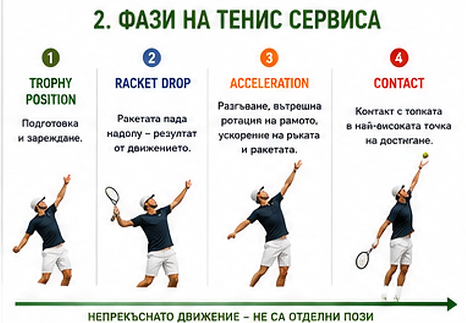 Фазите на сервиса: trophy position → racket drop → ускорение → контакт. Непрекъснато движение, а не отделни пози.